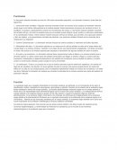 La formación reticular formado por más de 100 redes neuronales pequeños, con diversas funciones, entre ellas las siguientes: