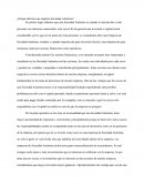¿Porque abrirías una empresa Sociedad Anónima?