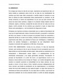 Ensayo de embarazo.
