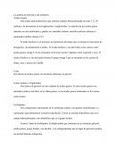 La Clasificacion de los lipidos