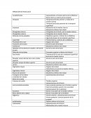 Irrigación de musculos