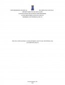 REVISÃO TEORICO-PRATICA.