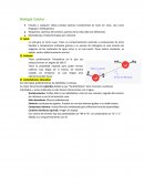 Biologia celular montiel