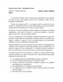 Empresa Social Ensayo.