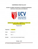 Proyecto final de gestion de tecnologias de informacion.