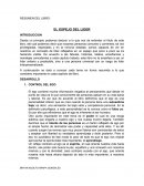 RESUMEN DEL LIBRO ESPEJO DE LA VIDA