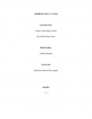 Ahorrar para la vejez. Sembrando para el futuro