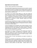 Agricultura de conservación