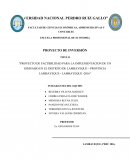 Estudio de mercado para un gimnacio en lambayeque.