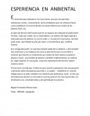 ESPERIENCIA EN ANBIENTAL