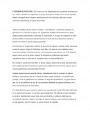 UNIVERSO LINNEANO: Carl Linneo creo los fundamentos de la moderna taxonomía en el s. XVIII.