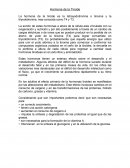 Hormona de la Tiroide