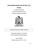 Proceso de Producción Planta Pesti -Mex “Seguridad e higiene en la industria”