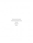 Definición personal de ergonomía.Desde tiempos antiguos, el ser humano busca obtener una correcta interacción