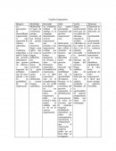 Cuadro Comparativo de Shapero, McClellan, Ronstadt,Gibb,Varela,Timmons