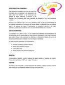 La empresa “LA LUNA S.A de C.V”