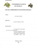 Fisica de la materia viva.