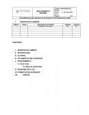 IshiProcedimiento de Dock Audit.