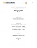 Introducción al proceso administrativo.