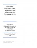 Guías de Laboratorio de Ingeniería de Procesos de Conservación III