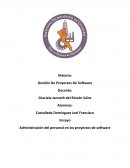 Ensayo administracion del personal en los proyectos de software.