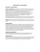 Procesos de atencion de enfermeria.