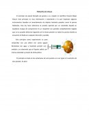 Principio de pascal ejercicios