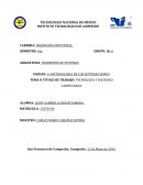 TEMA O: TECNOLOGÍA Y SOCIEDAD CAMPECHANA.