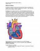 Resumen de Biologia tercer lapso.