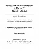 Reporte de actividades: Desperdicio de agua en nuestros hogares