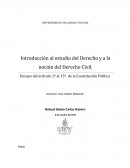 La constitucion primeros 30 artículos.