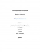 Trabajo de investigación - Refugiados sirios en Uruguay