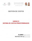 Gestión de costos.