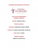 LITIGACIÓN ORAL EN MATERIA PENAL.