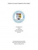 Enlodado en la corrupción: Kellogg Brown & Root en Nigeria