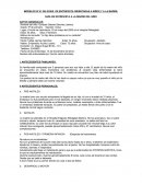 MODELOS Nº 01 DE GUÍAS DE ENTREVISTA ORIENTADAS A NIÑOS Y A LA MADRE.