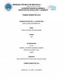 COMO SE CREA UN PARADIGMA