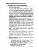 Contaminacion ambiental.