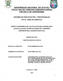 MANEJO AGRONOMICO DEL CULTIVO DE PALMA ACEITERA