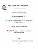 TALLER DE TÓPICOS FISCALES EN MATERIA ADUANERA