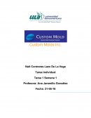 Tarea Individual Custom Molds Inc.