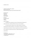 Desmineralización del esmalte de una pieza dental. Influencia del pH