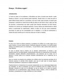 Ensayo “El último regalo”.