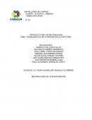 Marco Metodológico acerca de la Basura.