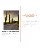 Detección de las necesidades de capacitación.