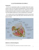 EL ELECTROCARDIOGRAMA (ECG) NORMAL.