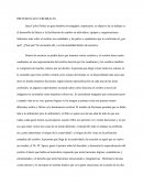 PREFERENCIAS CEREBRALES.