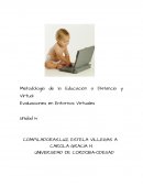 EVALUACION EN CAMPOS VIRTUALES.