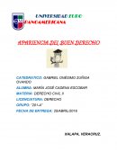 Apariencia del buen derecho.