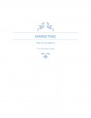 MARKETING Taller de investigación.